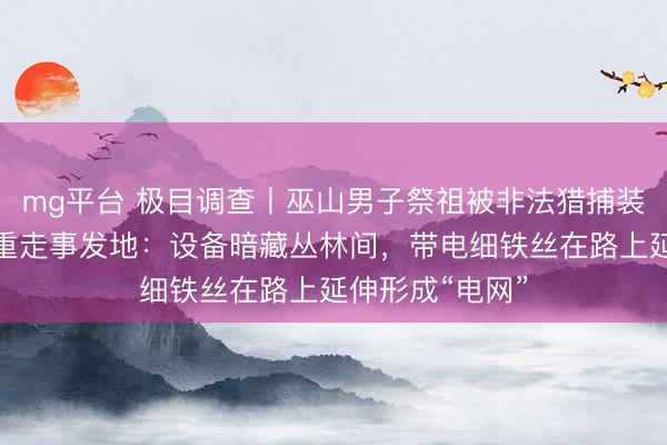 mg平台 极目调查丨巫山男子祭祖被非法猎捕装置电死，记者重走事发地：设备暗藏丛林间，带电细铁丝在路上延伸形成“电网”
