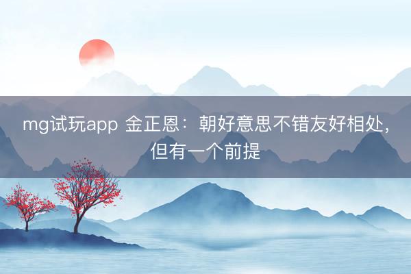 mg试玩app 金正恩：朝好意思不错友好相处，但有一个前提