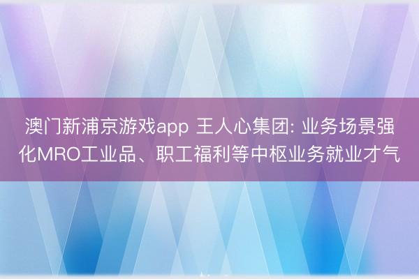 澳门新浦京游戏app 王人心集团: 业务场景强化MRO工业品、职工福利等中枢业务就业才气